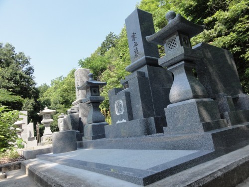 DSC08336-2-500x375