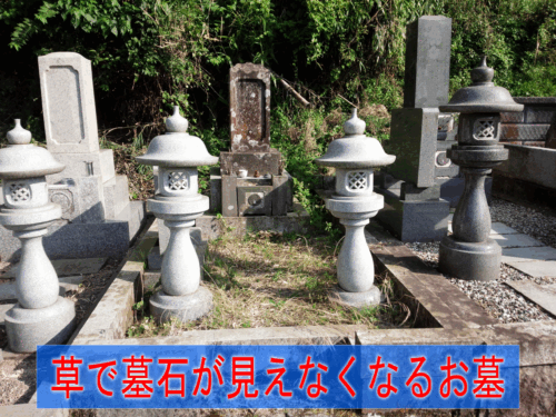 草で見えないお墓～コンクリ+化粧砂利