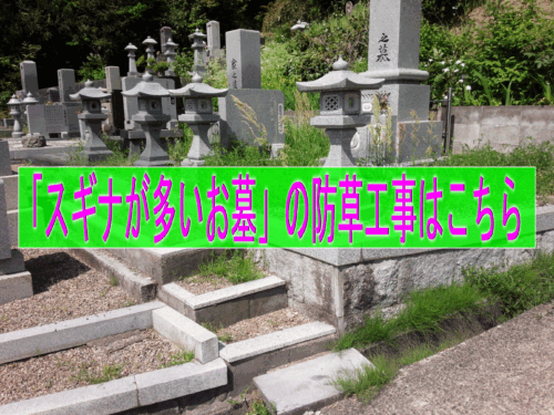 【スギナが多い】お墓防草リフォーム