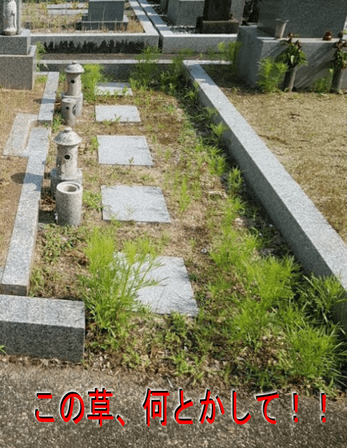 この草何とかして