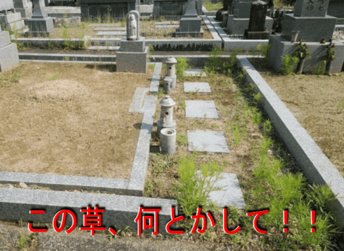 防草１～固まる土で防草化