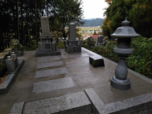 IMG_20201110_091903