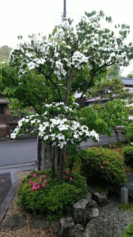 IMG_20210519_070322